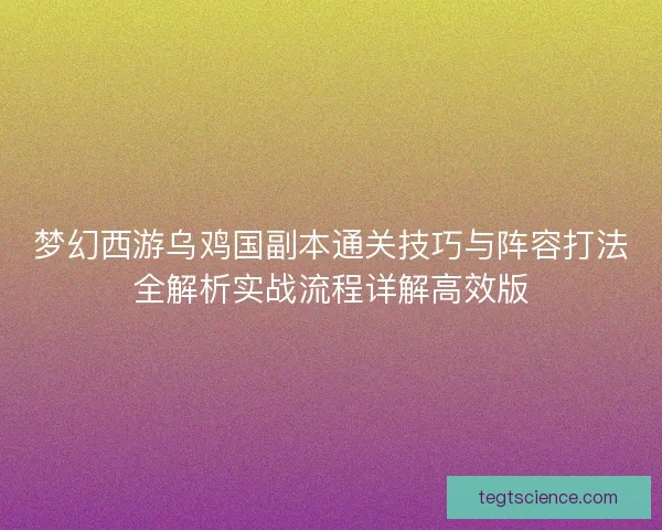 梦幻西游乌鸡国副本通关技巧与阵容打法全解析实战流程详解高效版