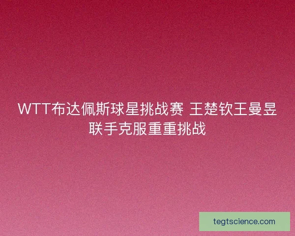 WTT布达佩斯球星挑战赛 王楚钦王曼昱联手克服重重挑战