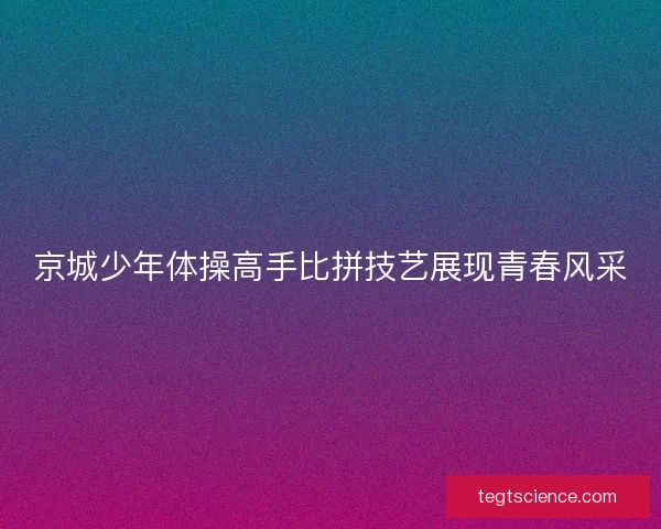 京城少年体操高手比拼技艺展现青春风采