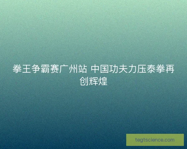 拳王争霸赛广州站 中国功夫力压泰拳再创辉煌