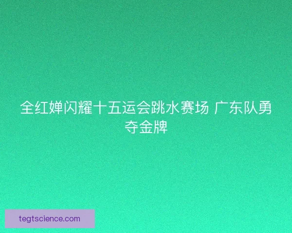 全红婵闪耀十五运会跳水赛场 广东队勇夺金牌