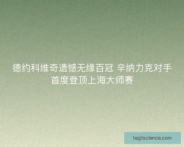 德约科维奇遗憾无缘百冠 辛纳力克对手首度登顶上海大师赛